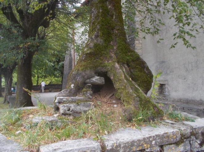 DSCN0934 (FILEminimizer)