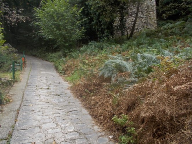 DSCN0938 (FILEminimizer)