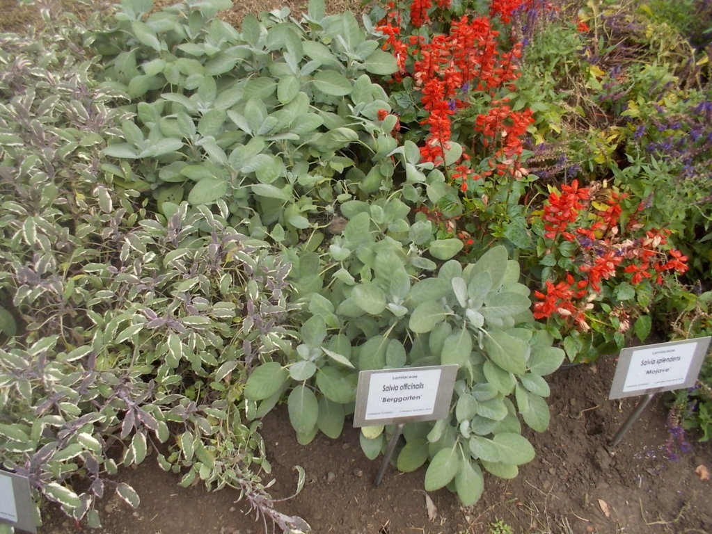 DSCN0945 (FILEminimizer)