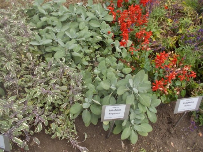 DSCN0945 (FILEminimizer)