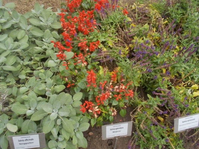 DSCN0946 (FILEminimizer)