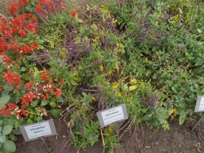 DSCN0947 (FILEminimizer)