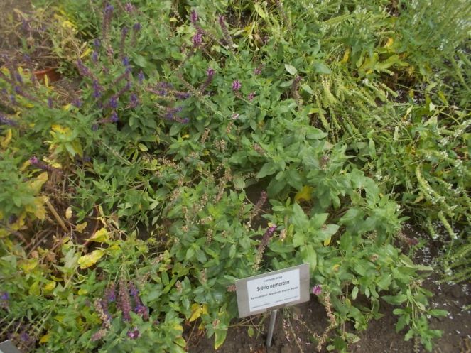 DSCN0948 (FILEminimizer)