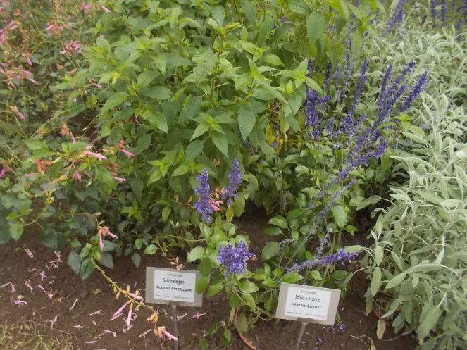 DSCN0954 (FILEminimizer)