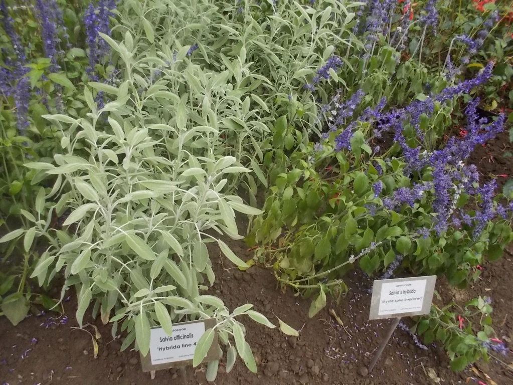 DSCN0955 (FILEminimizer)