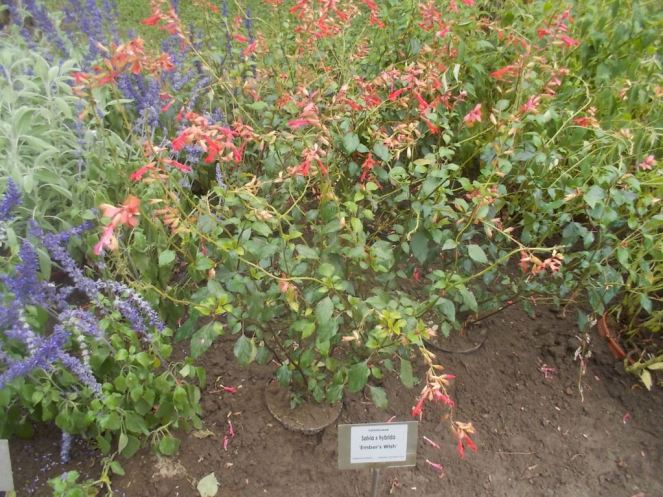 DSCN0956 (FILEminimizer)