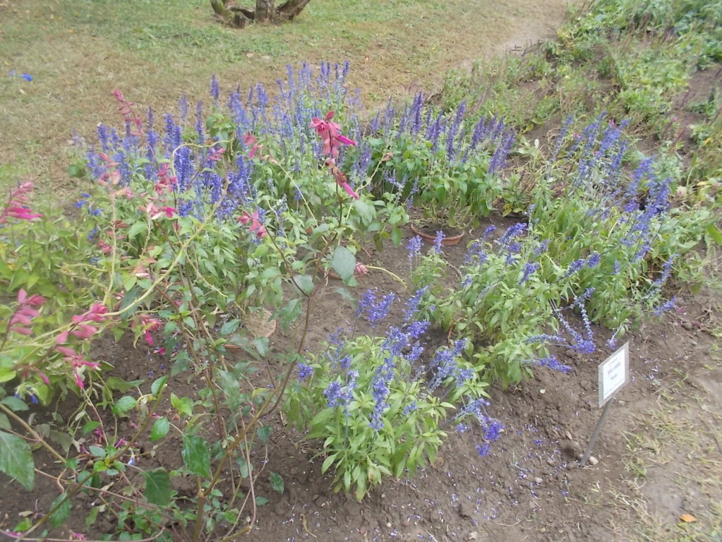 DSCN0957 (FILEminimizer)