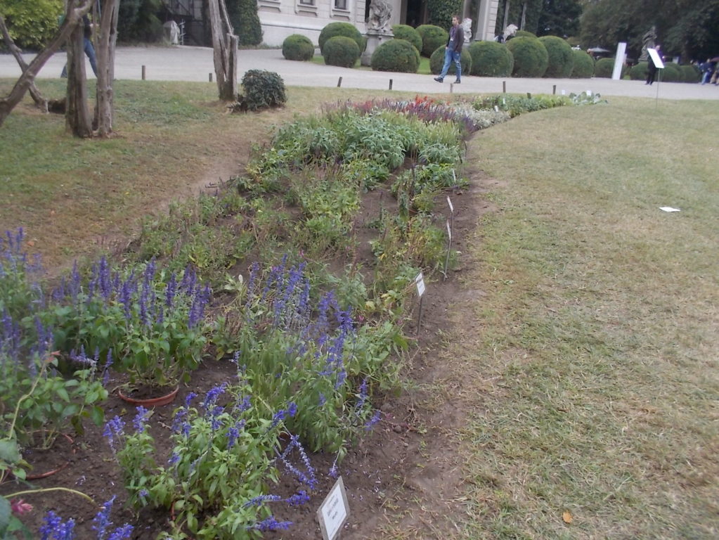 DSCN0958 (FILEminimizer)