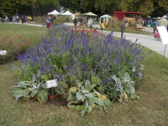 DSCN0962 (FILEminimizer)