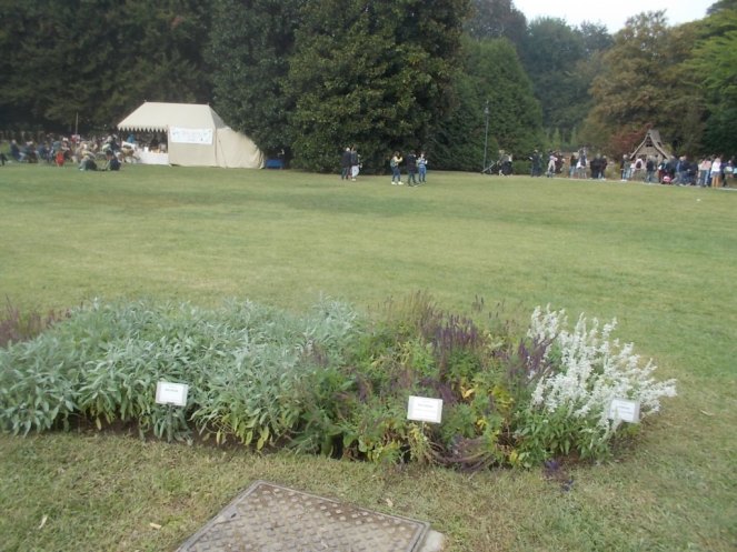 DSCN0963 (FILEminimizer)