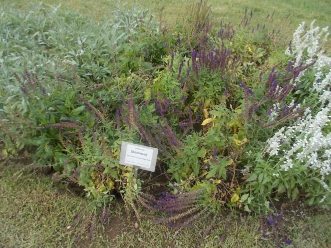 DSCN0965 (FILEminimizer)