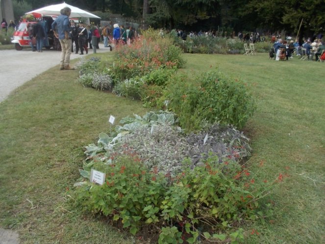 DSCN0966 (FILEminimizer)