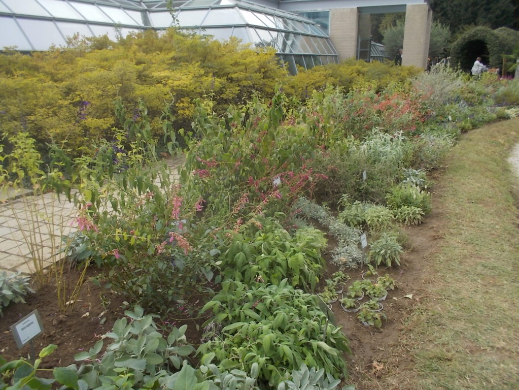 DSCN0967 (FILEminimizer)