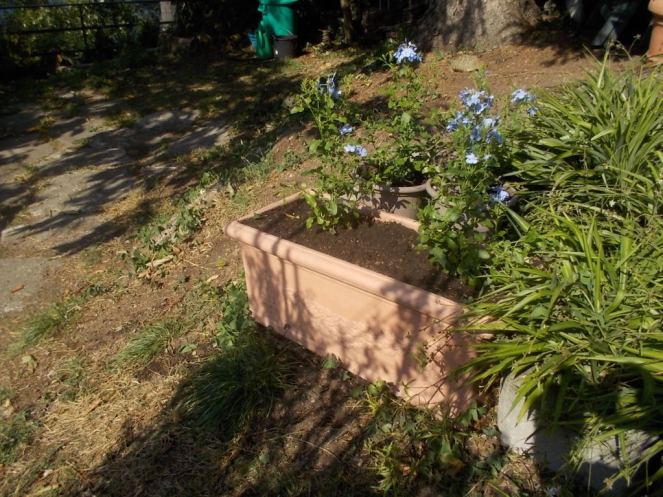 DSCN0977 (FILEminimizer)