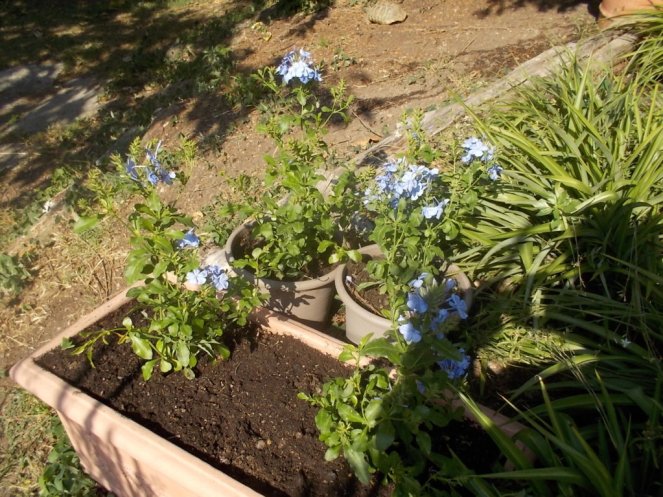 DSCN0978 (FILEminimizer)