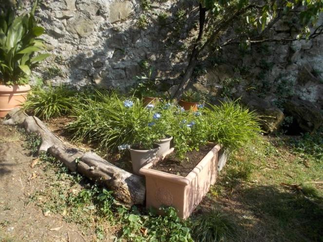 DSCN0979 (FILEminimizer)