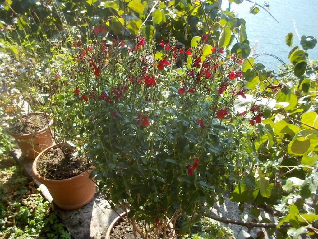 DSCN0982 (FILEminimizer)