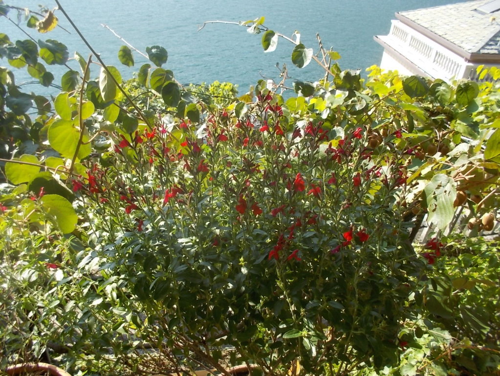 DSCN0983 (FILEminimizer)