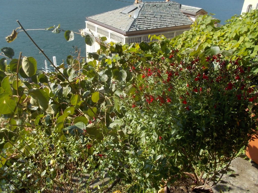 DSCN0984 (FILEminimizer)