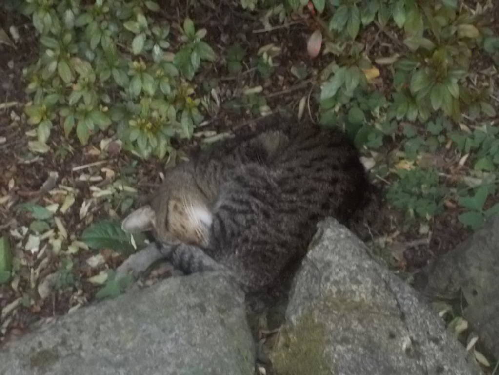 DSCN0991 (FILEminimizer)