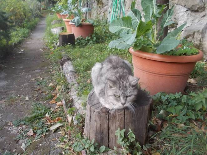 DSCN0994 (FILEminimizer)