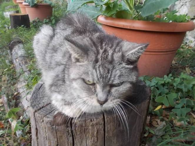 DSCN0996 (FILEminimizer)