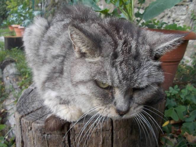 DSCN0997 (FILEminimizer)