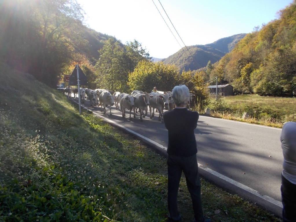 DSCN1045 (FILEminimizer)