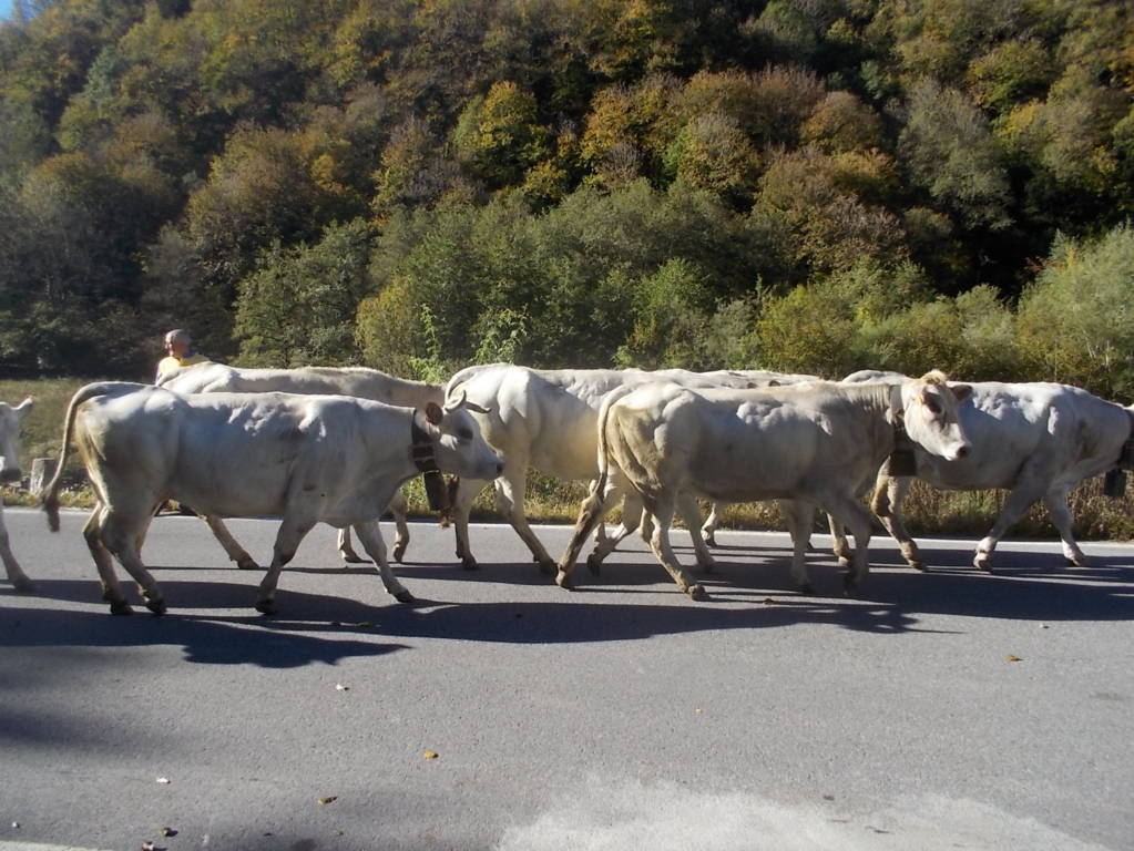 DSCN1046 (FILEminimizer)