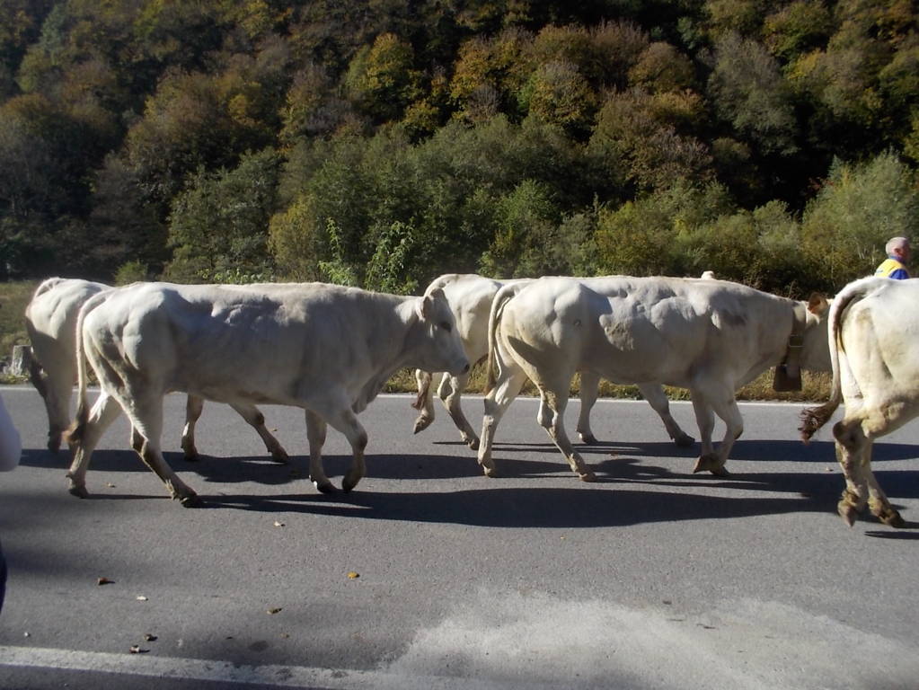 DSCN1048 (FILEminimizer)