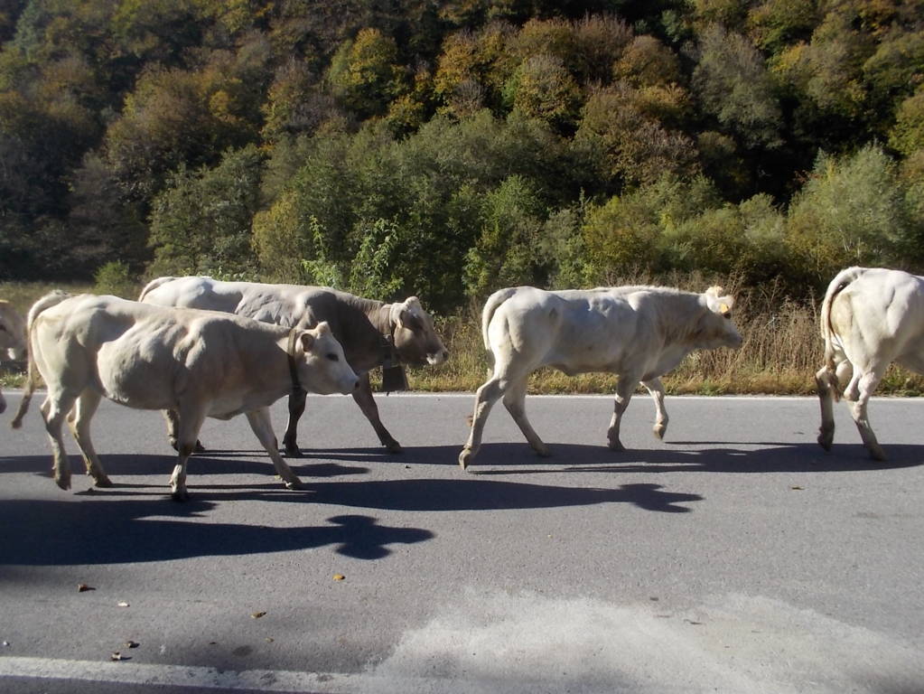 DSCN1049 (FILEminimizer)