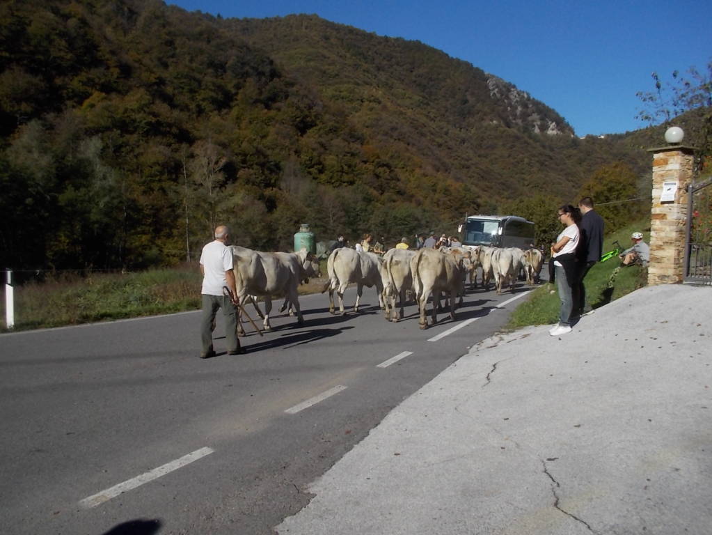 DSCN1051 (FILEminimizer)