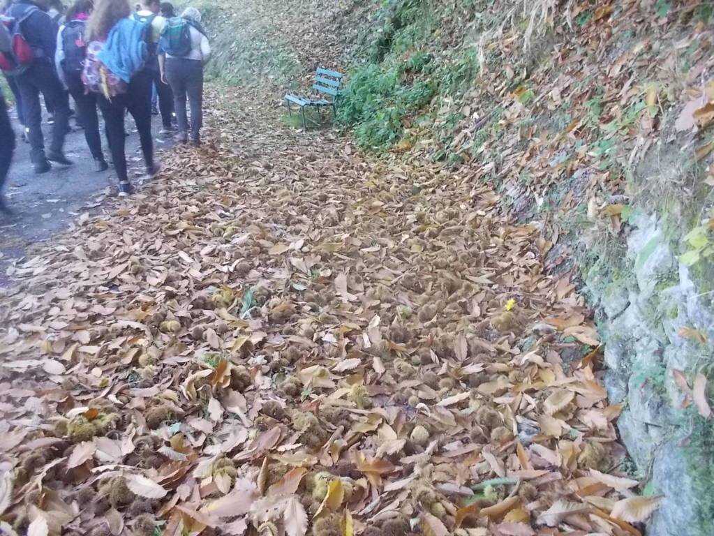 DSCN1061 (FILEminimizer)