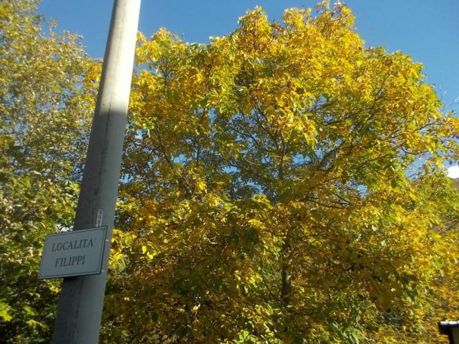 DSCN1062 (FILEminimizer)