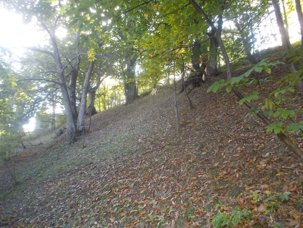 DSCN1068 (FILEminimizer)