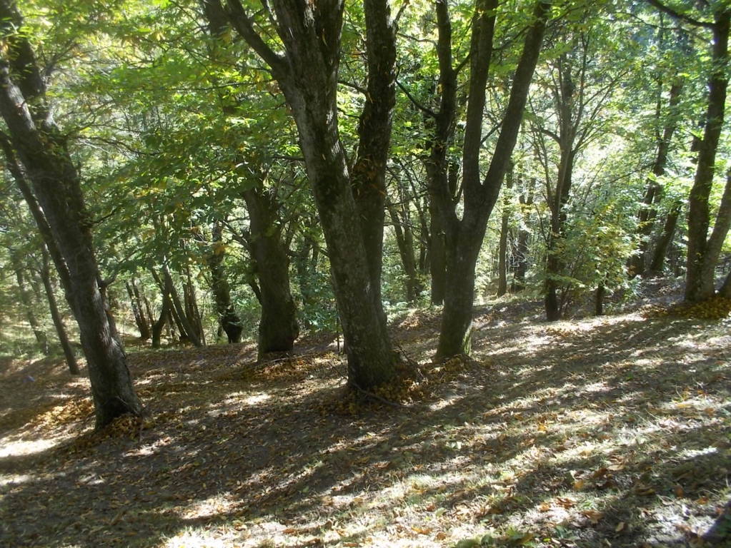 DSCN1069 (FILEminimizer)