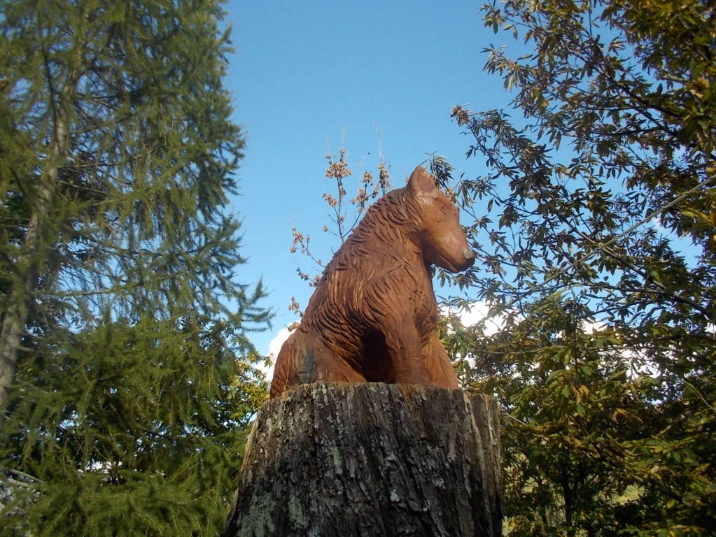 DSCN1070 (FILEminimizer)