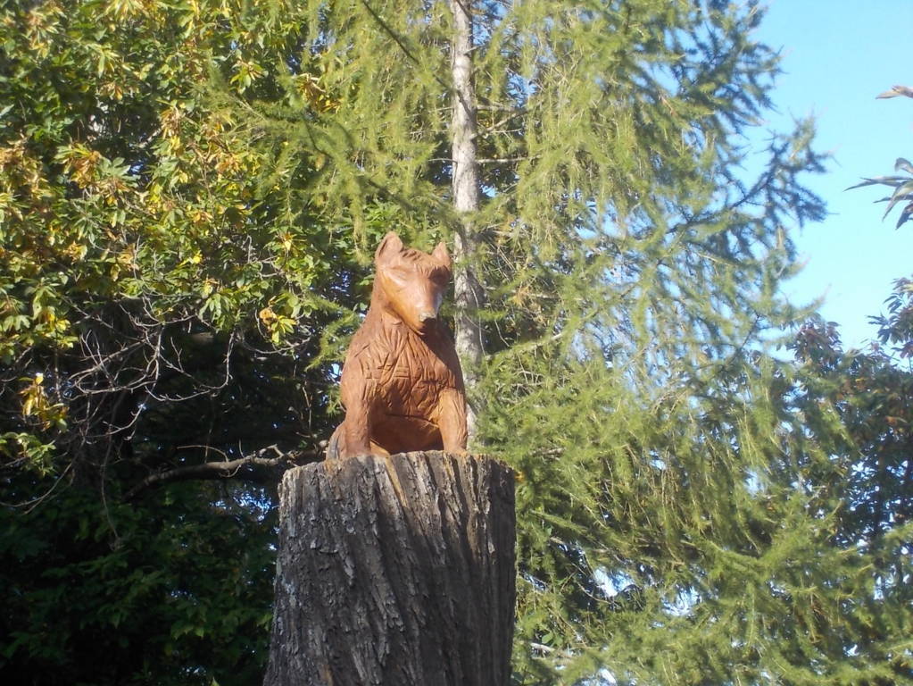 DSCN1071 (FILEminimizer)