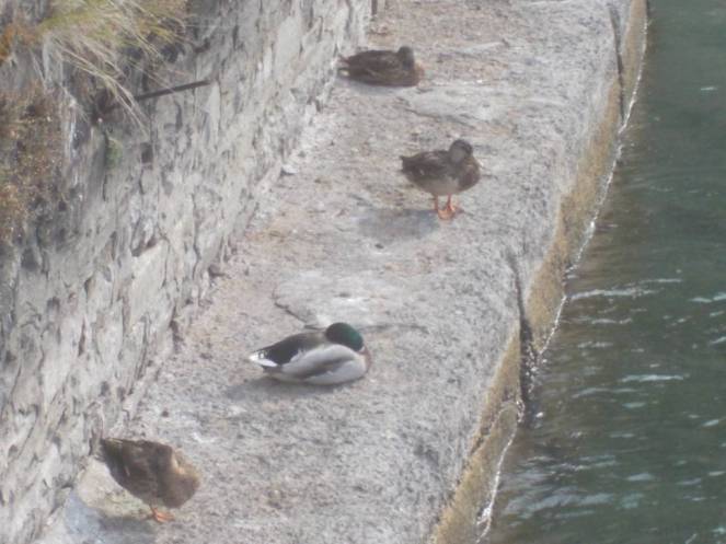 DSCN1076 (FILEminimizer)