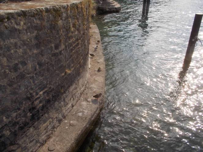 DSCN1078 (FILEminimizer)