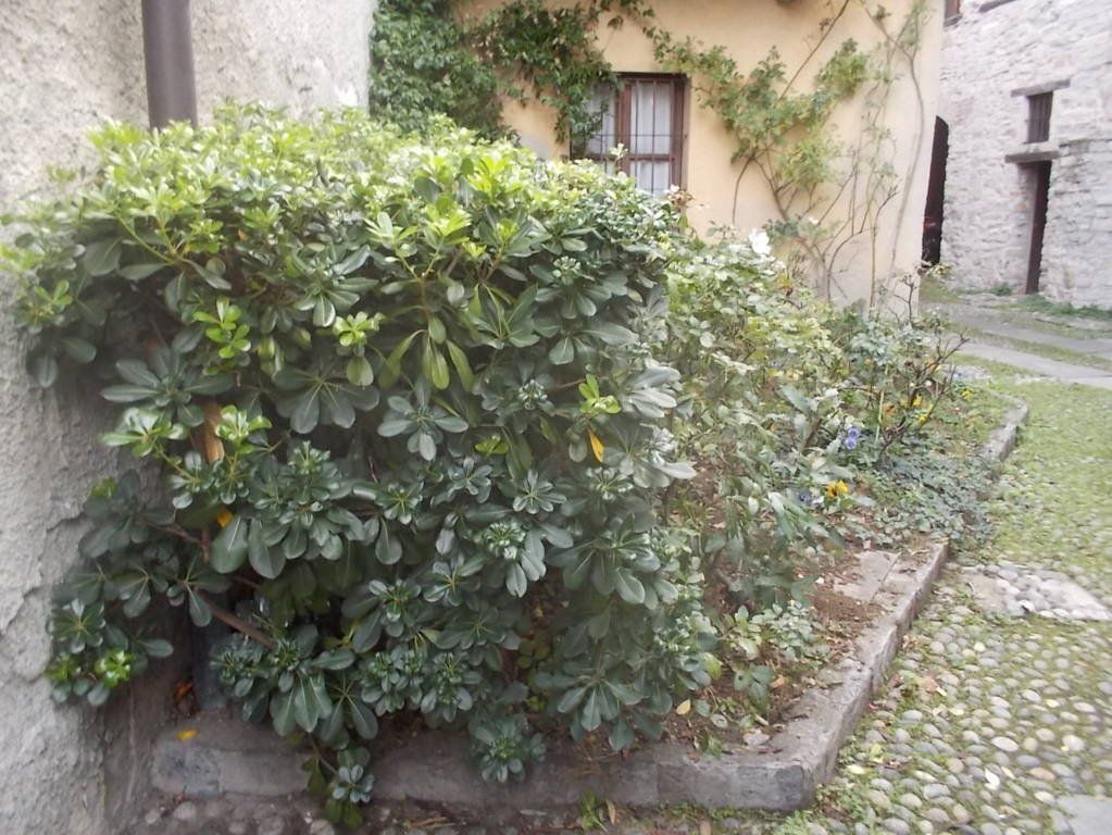 DSCN1082 (FILEminimizer)