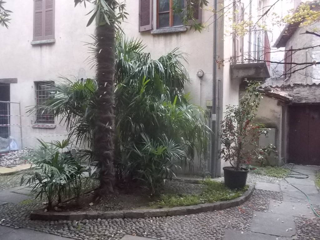 DSCN1088 (FILEminimizer)