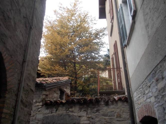 DSCN1093 (FILEminimizer)