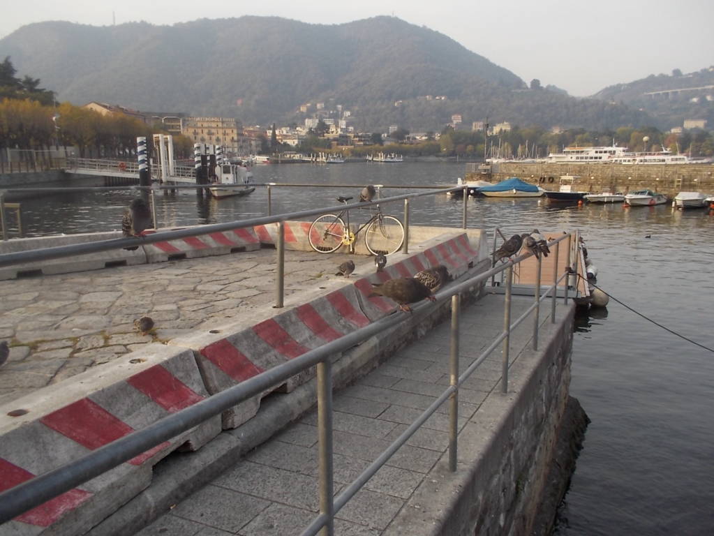 DSCN1097 (FILEminimizer)