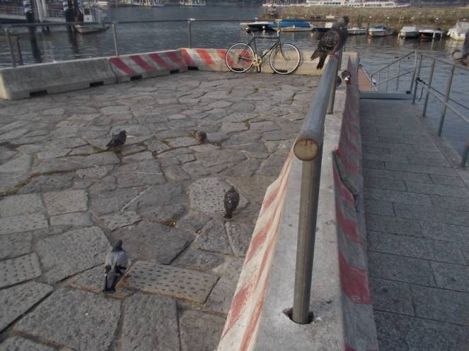 DSCN1098 (FILEminimizer)