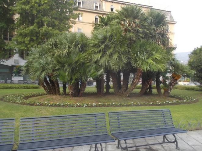 DSCN1102 (FILEminimizer)