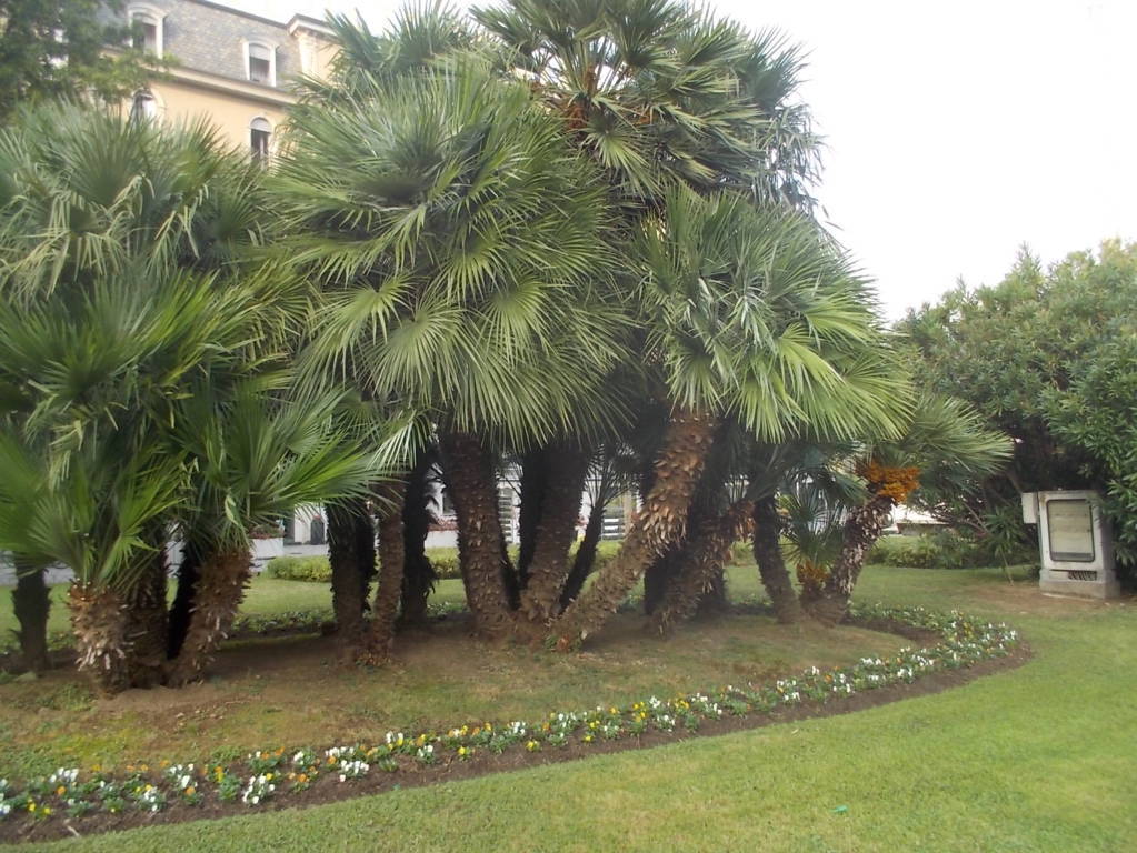 DSCN1104 (FILEminimizer)