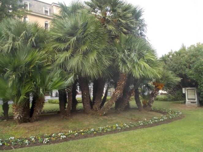 DSCN1104 (FILEminimizer)