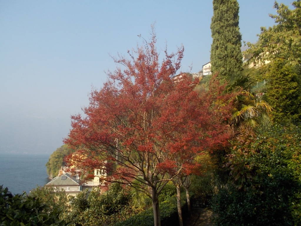 DSCN1130 (FILEminimizer)