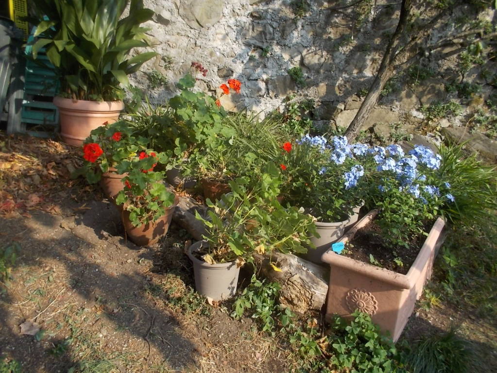 DSCN1131 (FILEminimizer)